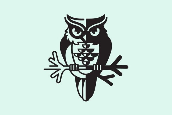 Логотип Филина