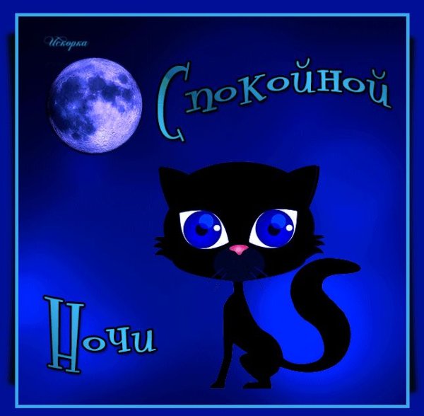 Мишка на Луне