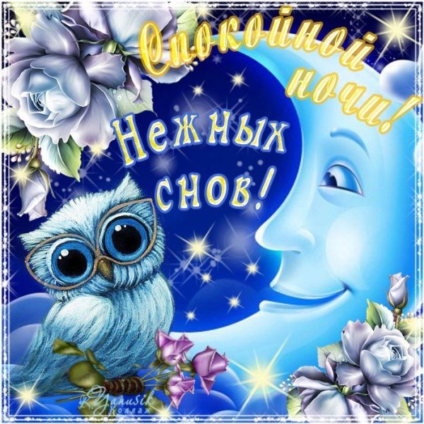 Спокойной ночи до завтра