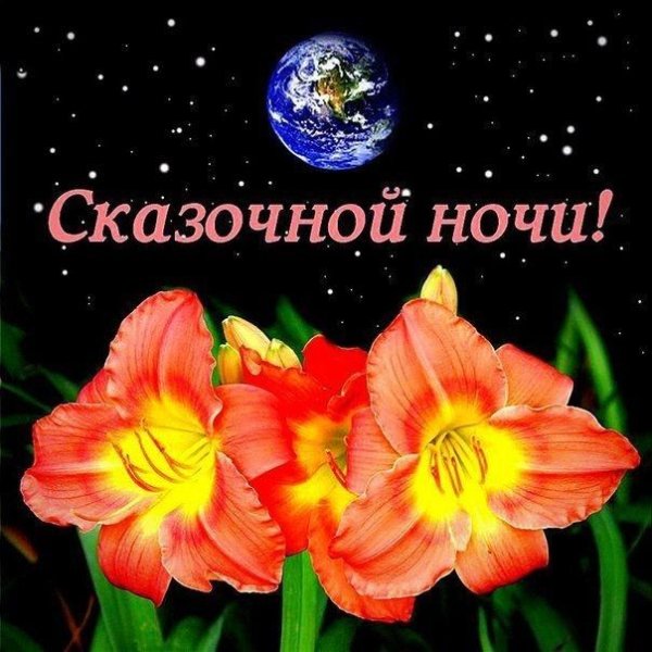 Спокойной ночи