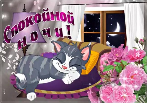 Доброго вечера и спокойной ночи