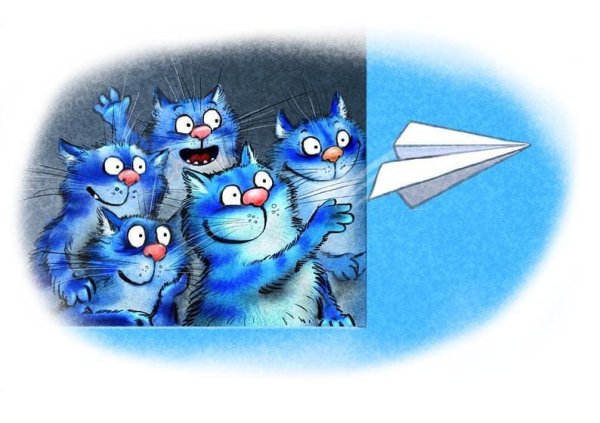 Синие коты на белом фоне