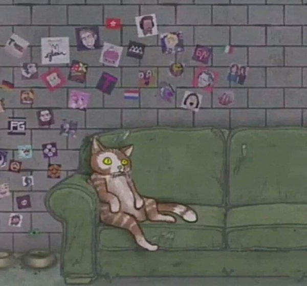 Гизмо кот Салли фейс