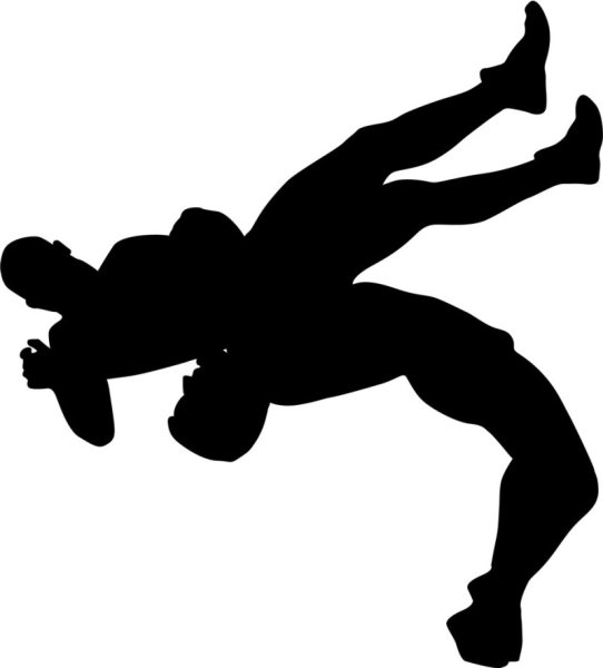 Борцы самбо вектор