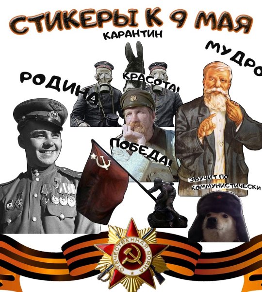 Рыцари и замки