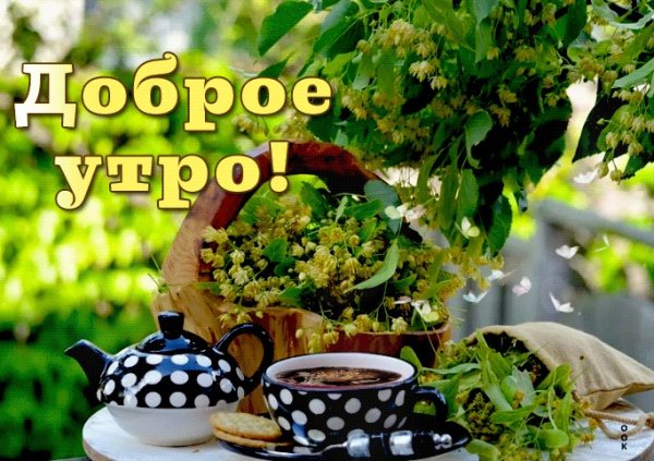 С добрым утром улыбнись