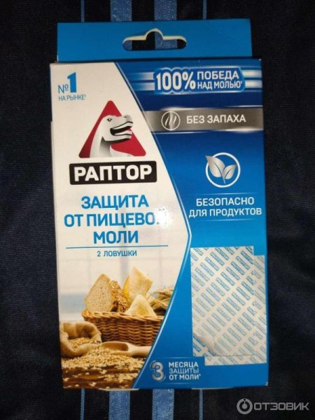 Пищевая моль картинки