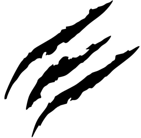 Следы когтей медведя