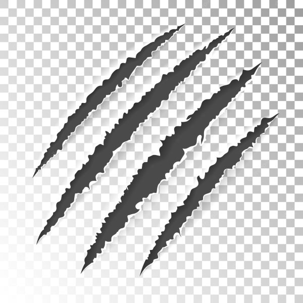 Царапины от когтей медведя