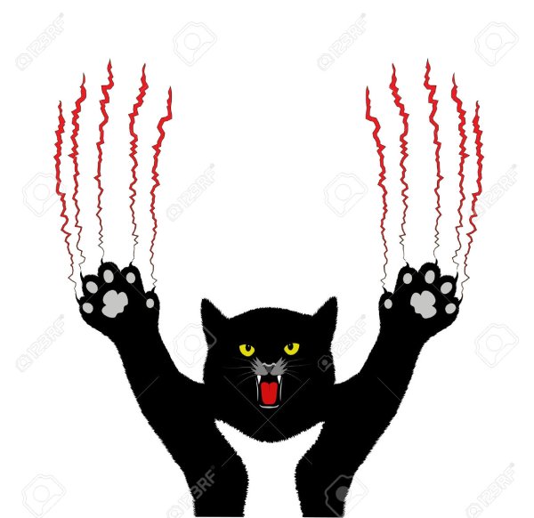 Кот царапает вектор