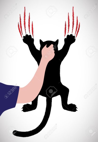 Порезы от когтей