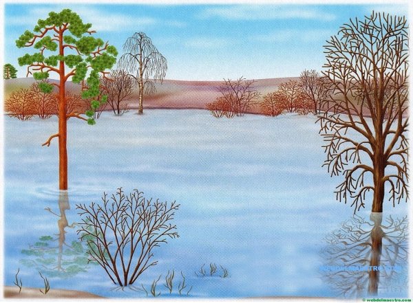 Подложка для бейджа