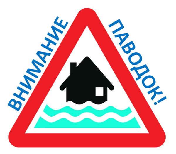 Силуэт девушки с развевающимися волосами