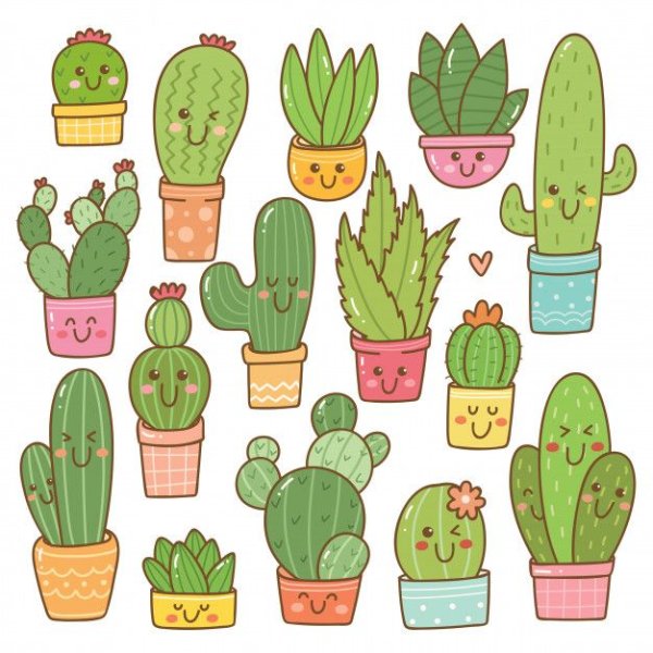 Дудлы кактусы