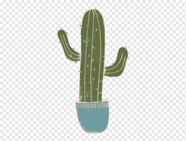 Стикеры тумблер кактусы