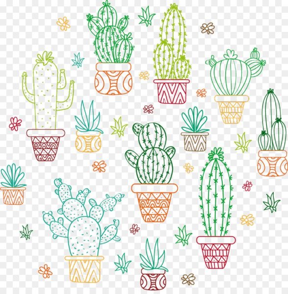 Кактус без фона