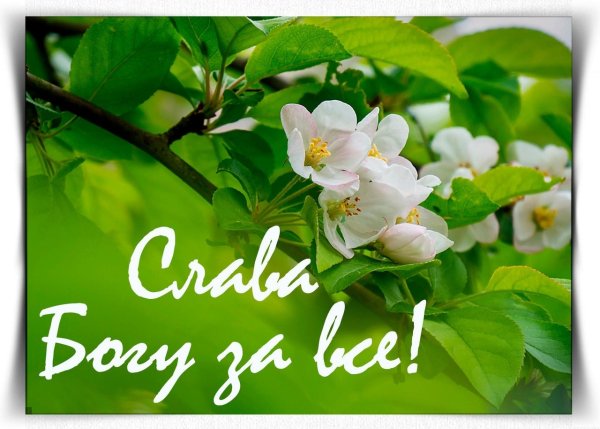 Слава Богу за все!