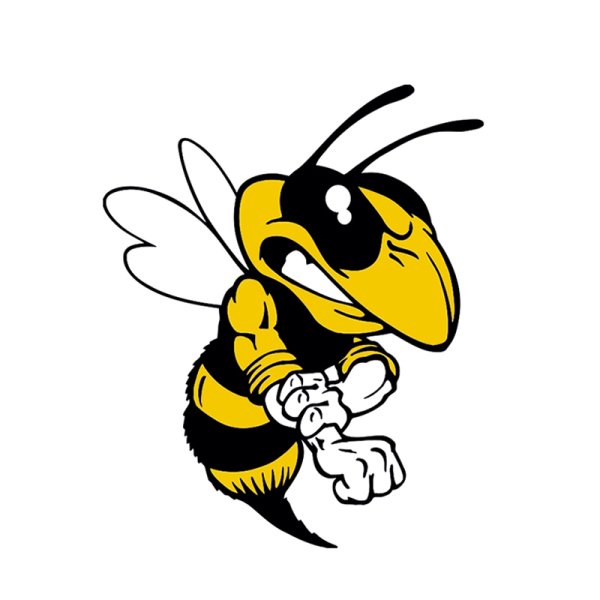 Хорнет пчела