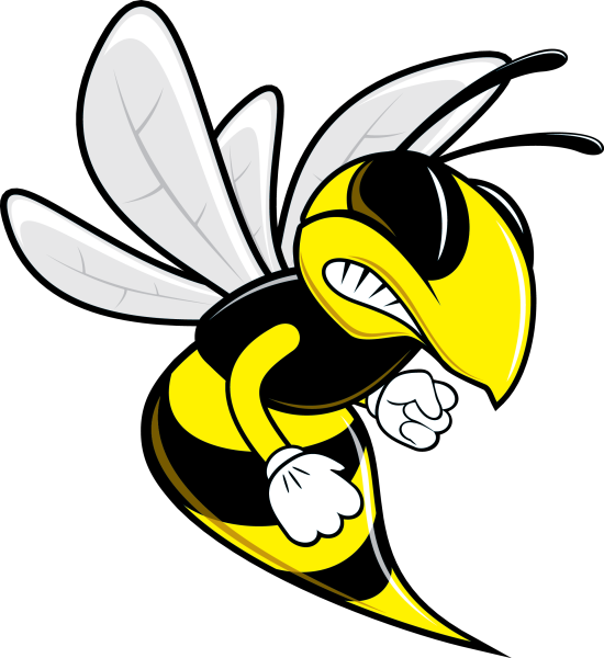 Трутень жало