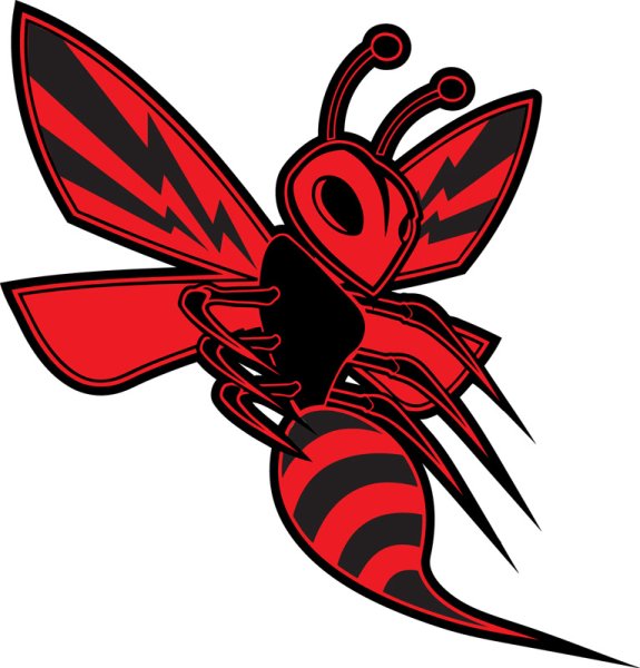 Оса убийца арт