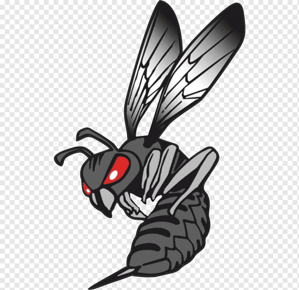 Оса агрессивная