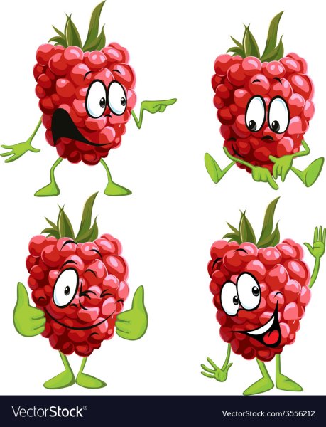 Малина вектор