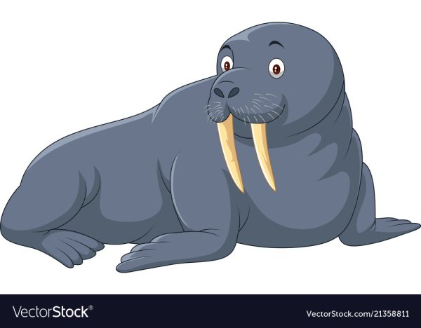 Маска моржа для детей