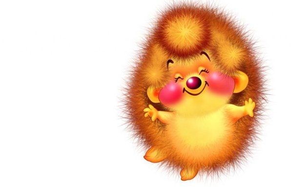 Солнечный Ежик