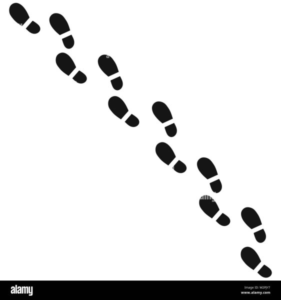 Следы на белом фоне