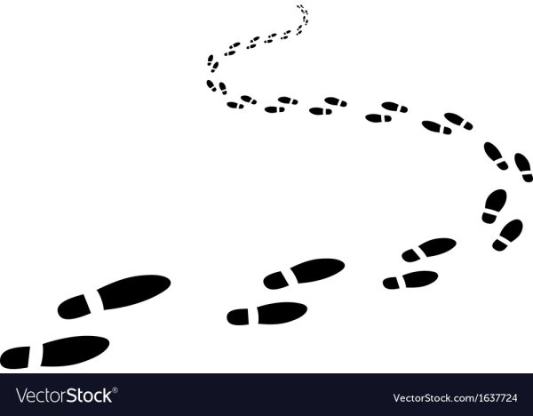 Следы черно белые