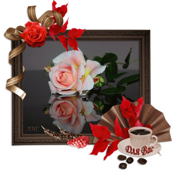 Добрый вечер картинки с надписями