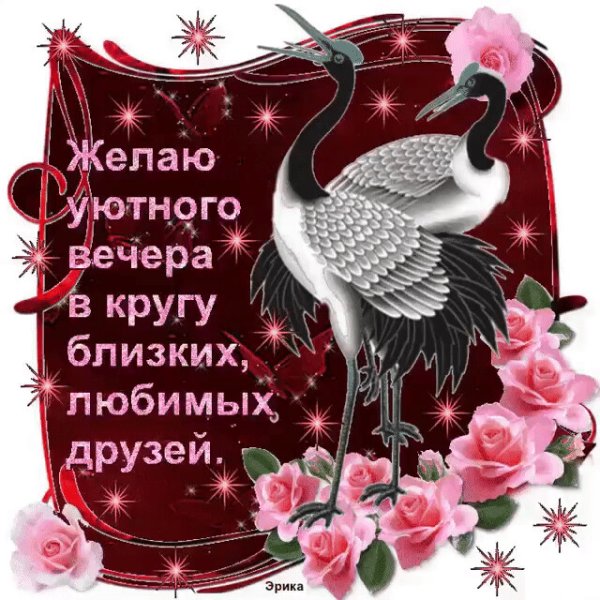 Чаепитие с котами