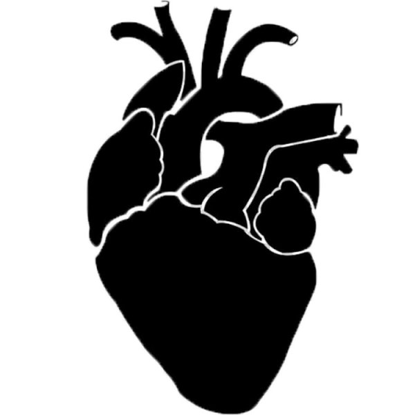 Наклейки человеческого сердца