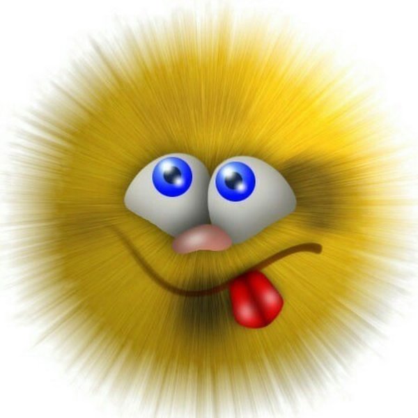 Смешные мордашки