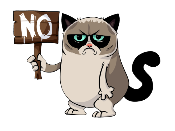 Недовольный кот с табличкой