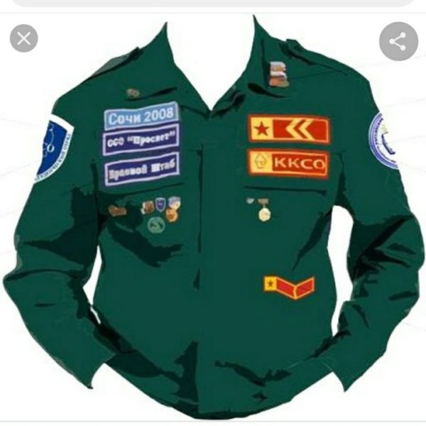 Направления студенческих отрядов