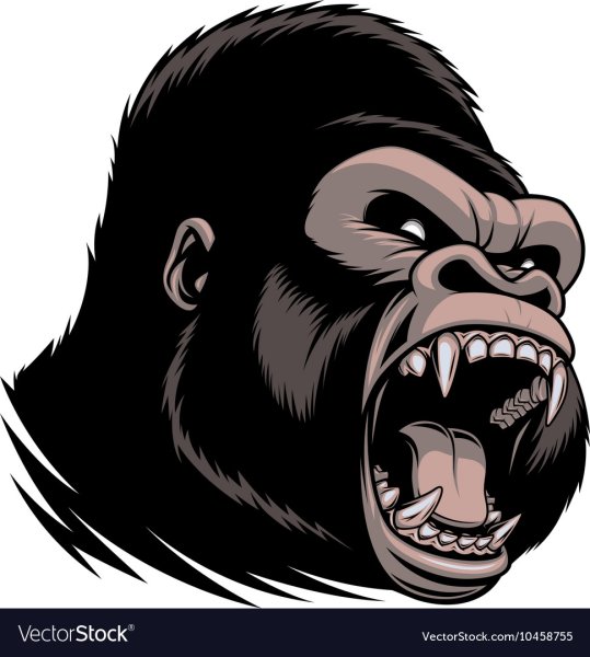 Голова гориллы