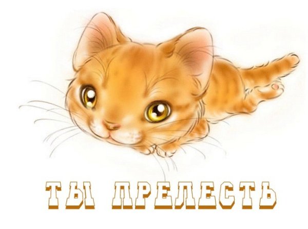 Стикеры кралечка в ВК