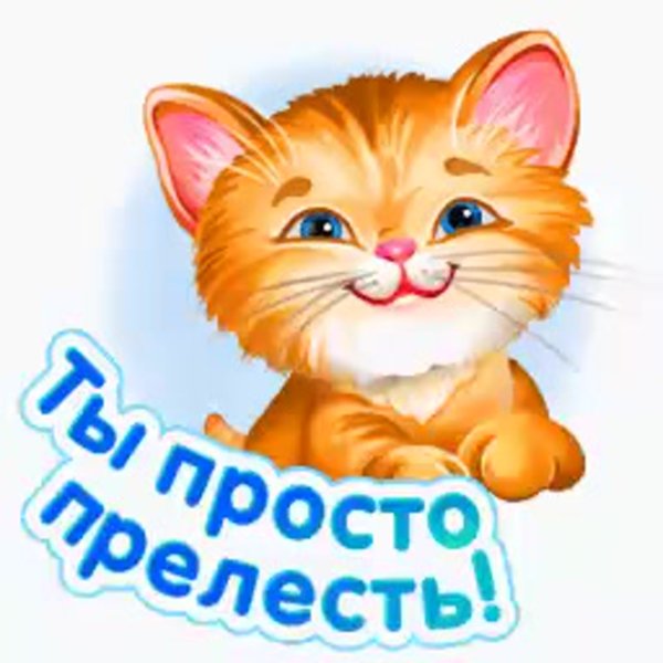 Стикеры девушки
