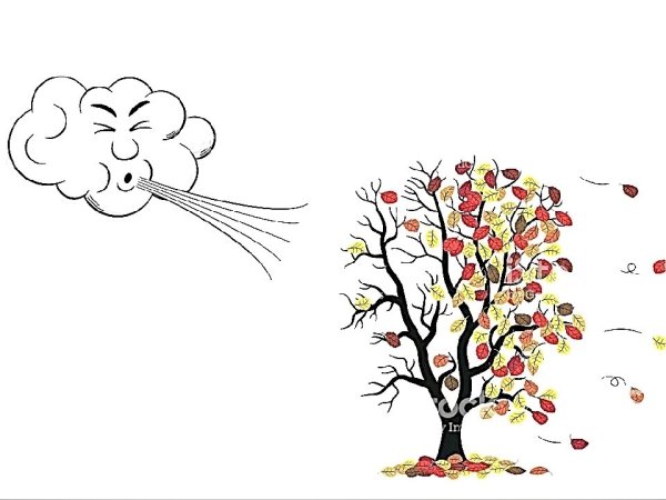 Наклоненное дерево