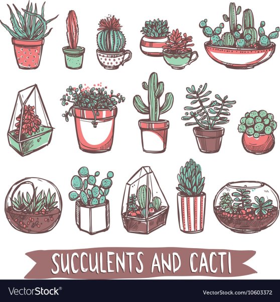 Растения в горшках для скетчбука