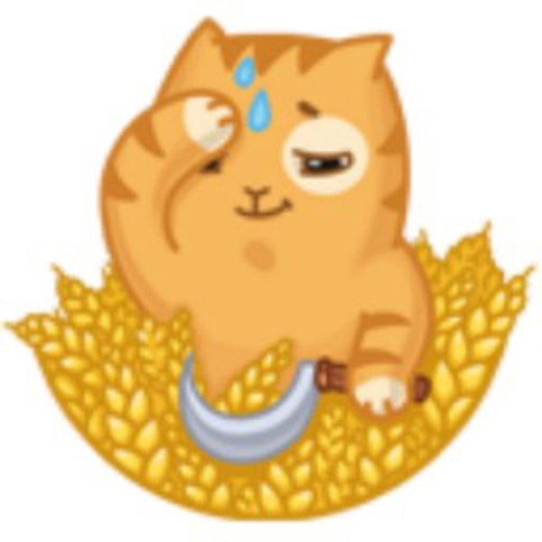 Фрипик Стикеры лето