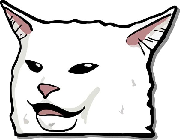 Кот на белом фоне мультяшный