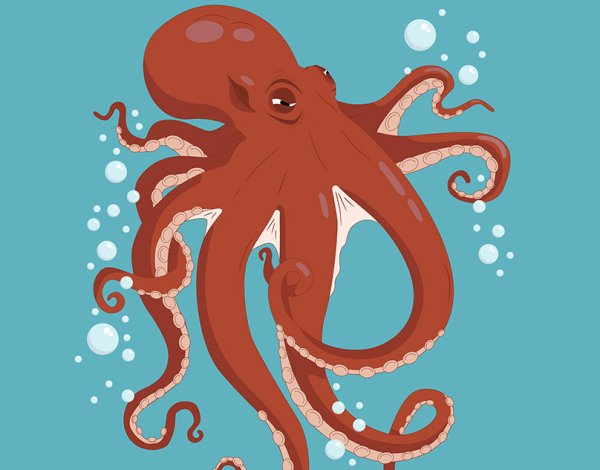 Эдуардо ПЕРЕЦЬЯНО/EDISONPTS