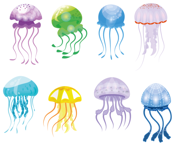 Медуза на белом фоне