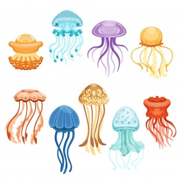 Медуза рисунок для детей цветной