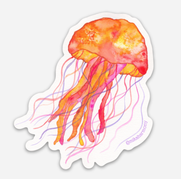 Кишечнополостные медузы