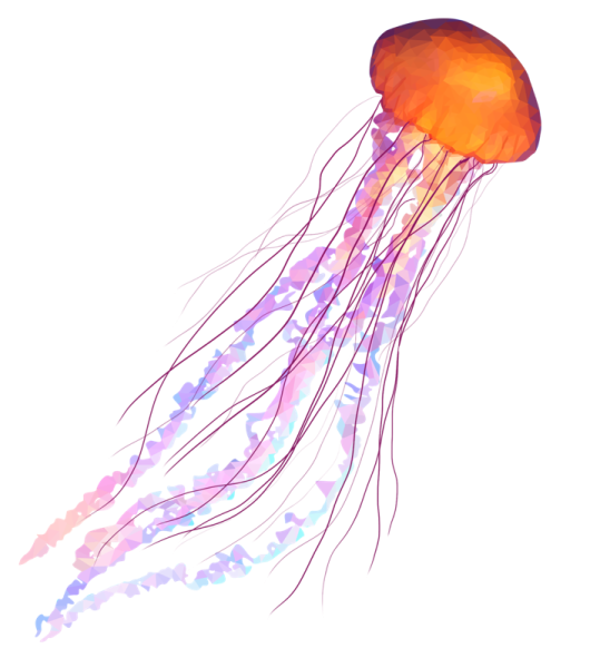 Детская наклейка медуза