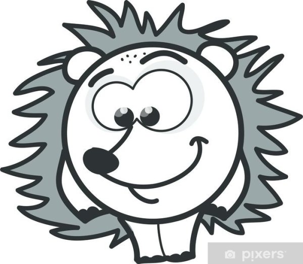 Ежик с винилом