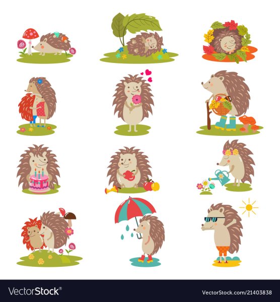 Ежик мультяшный вектор